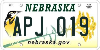 NE license plate APJ019
