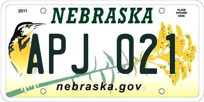 NE license plate APJ021