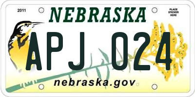 NE license plate APJ024