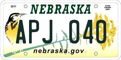 NE license plate APJ040