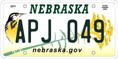 NE license plate APJ049