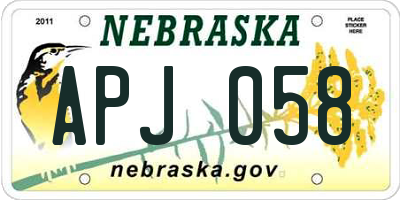 NE license plate APJ058