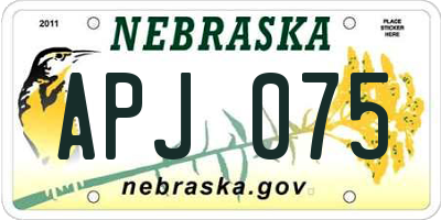 NE license plate APJ075
