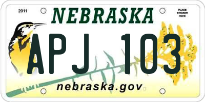 NE license plate APJ103
