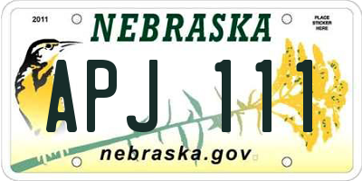 NE license plate APJ111