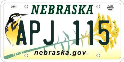NE license plate APJ115