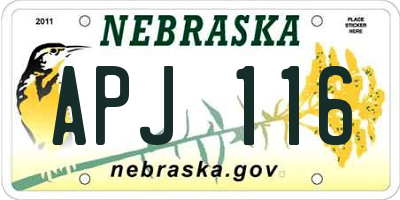 NE license plate APJ116