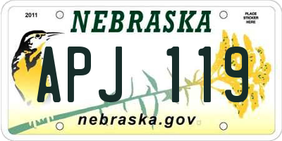 NE license plate APJ119