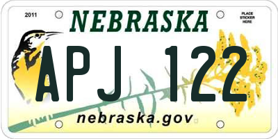 NE license plate APJ122