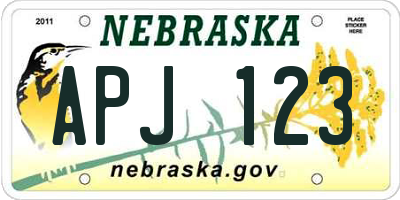 NE license plate APJ123