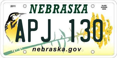 NE license plate APJ130