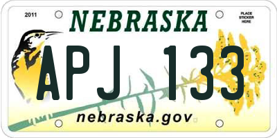 NE license plate APJ133