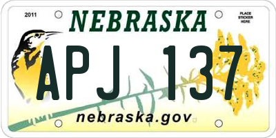 NE license plate APJ137