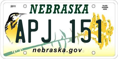 NE license plate APJ151