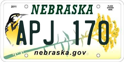 NE license plate APJ170