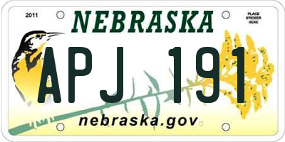NE license plate APJ191