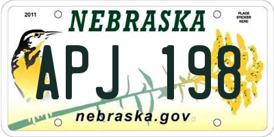 NE license plate APJ198