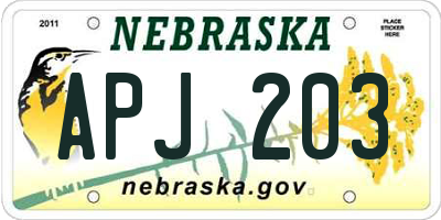 NE license plate APJ203