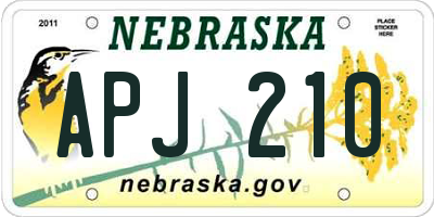 NE license plate APJ210