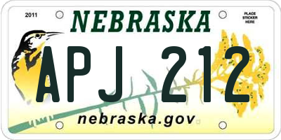NE license plate APJ212