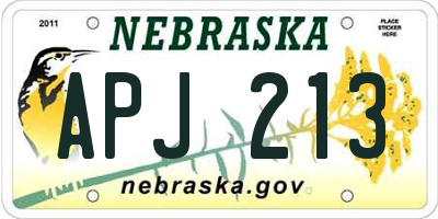 NE license plate APJ213