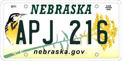 NE license plate APJ216