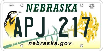 NE license plate APJ217