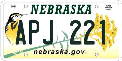 NE license plate APJ221