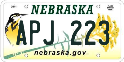 NE license plate APJ223