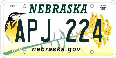 NE license plate APJ224