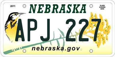 NE license plate APJ227