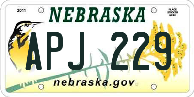 NE license plate APJ229