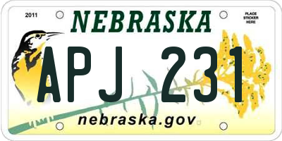 NE license plate APJ231