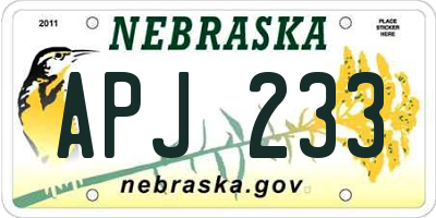 NE license plate APJ233