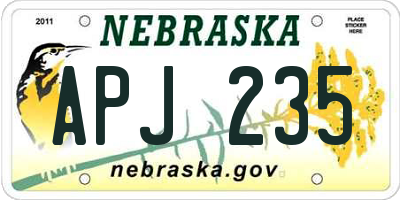 NE license plate APJ235