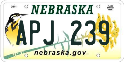 NE license plate APJ239