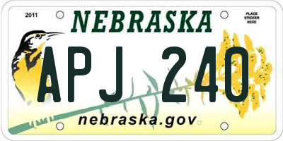 NE license plate APJ240