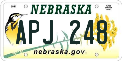 NE license plate APJ248