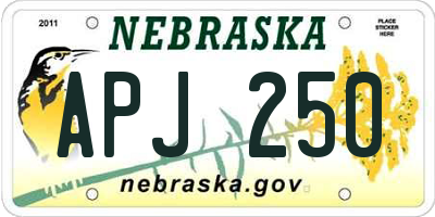 NE license plate APJ250