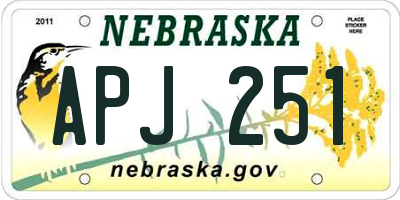 NE license plate APJ251