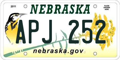 NE license plate APJ252
