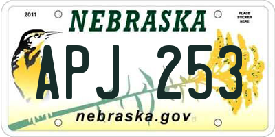NE license plate APJ253