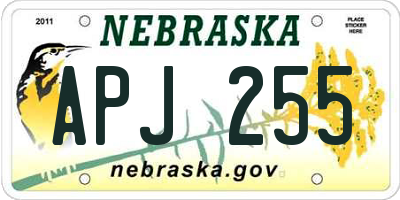 NE license plate APJ255