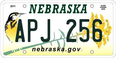 NE license plate APJ256