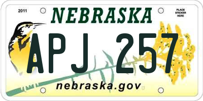 NE license plate APJ257