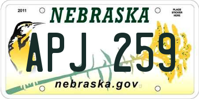 NE license plate APJ259