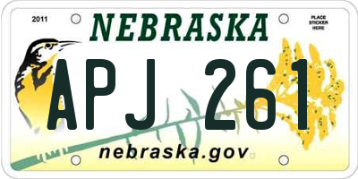 NE license plate APJ261