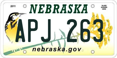 NE license plate APJ263