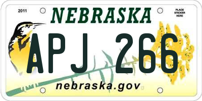 NE license plate APJ266