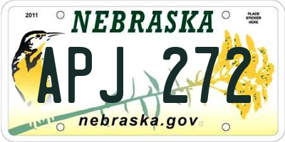 NE license plate APJ272